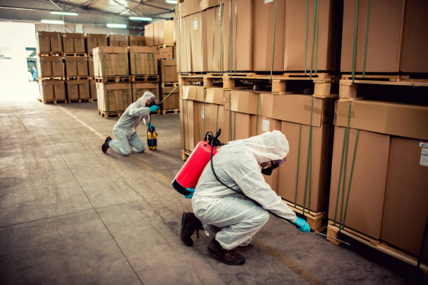 Best Cockroach Control Services  in Corrales, NM
