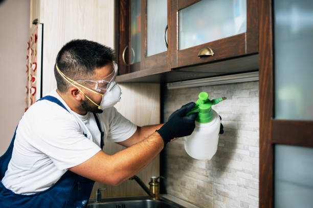 Best Pest Removal Services  in Corrales, NM