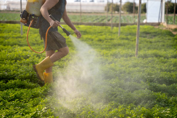 Professional Pest Control in Corrales, NM