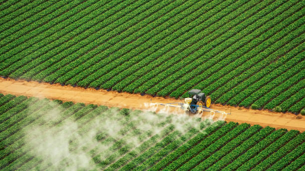 Best Pest Prevention Services  in Corrales, NM