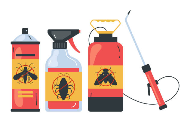 Best Affordable Pest Control Services  in Corrales, NM