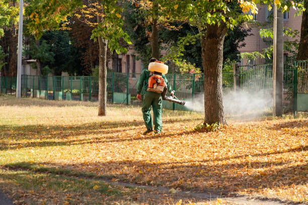 Pest Prevention Services in Corrales, NM